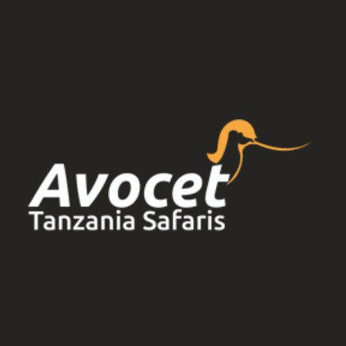 Avocet Tanzania Safaris